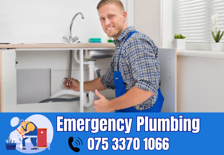  plumber Northdown