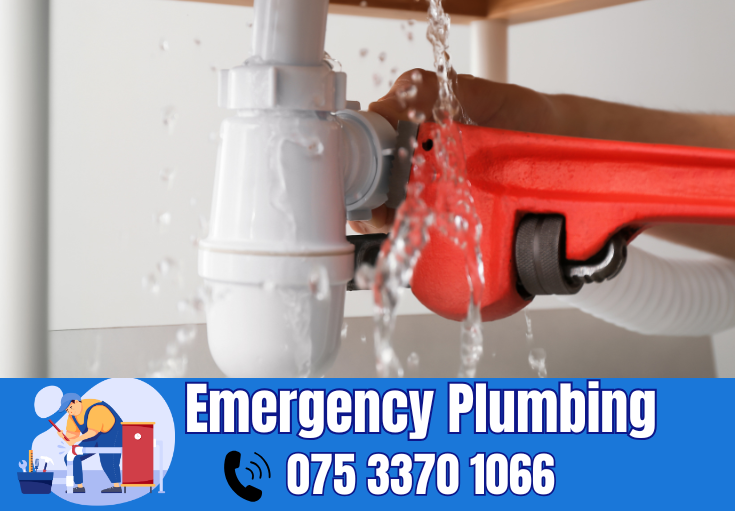  plumber Cliftonville
